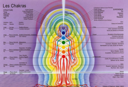 Les Centres d’Énergie ou Chakras